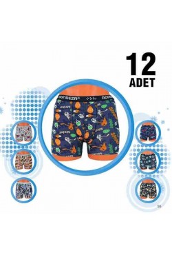 DONDEZA DESENLİ ERKEK ÇOCUK BOXER 12'Lİ PAKET 